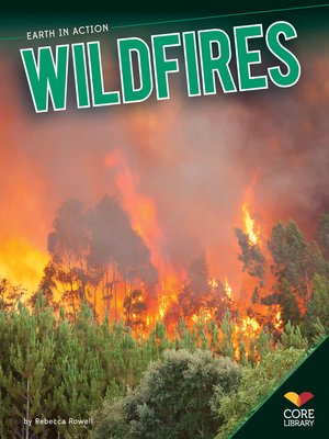 Wildfires - ebook